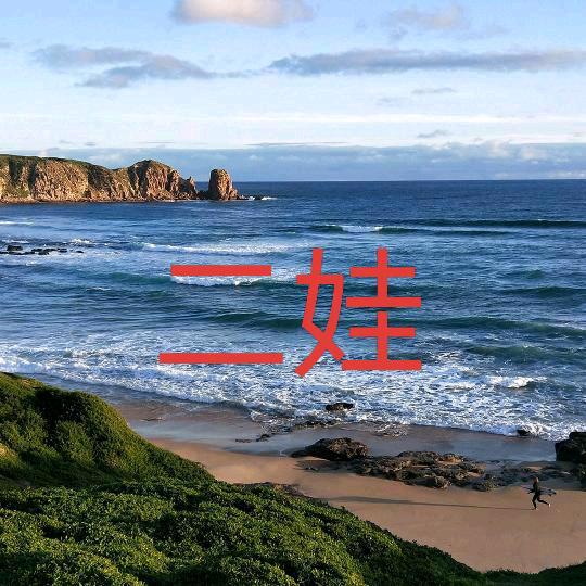 二娃2019