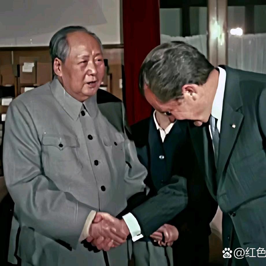 金鑫制作🇨🇳-1