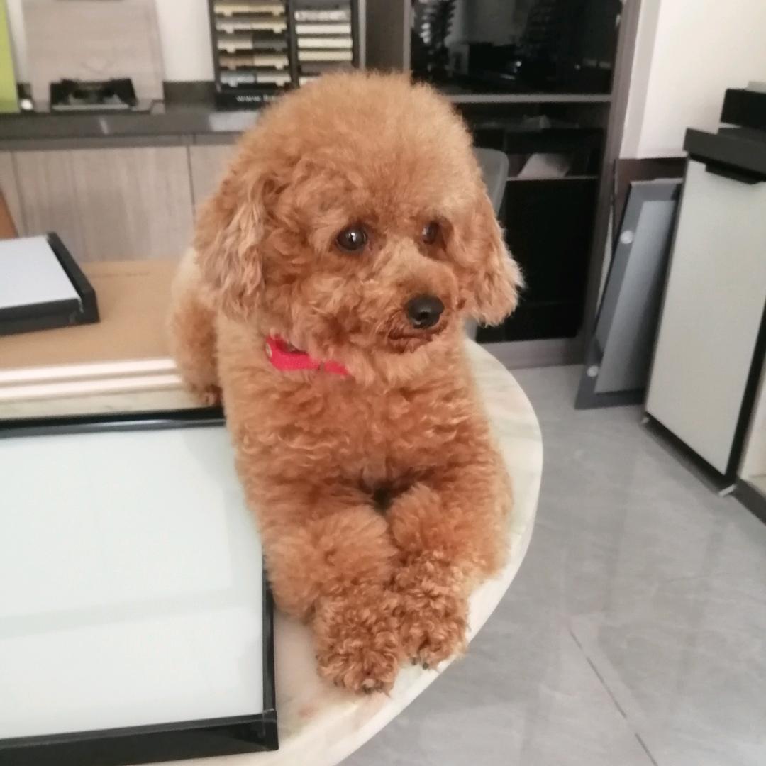 阳光洒向