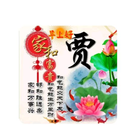 人真姓贾