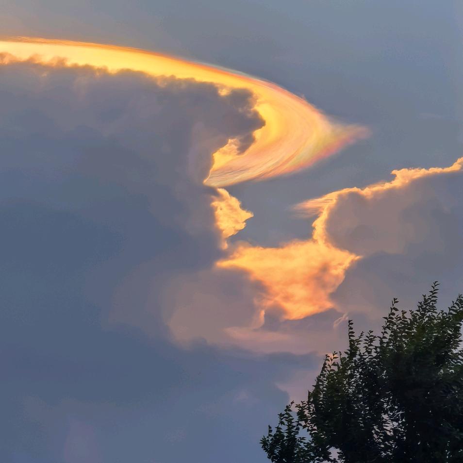 雨蝶逃不出天际