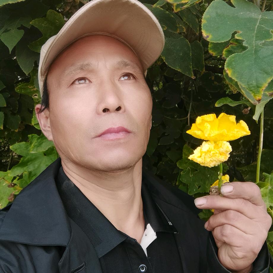 金属李霸王