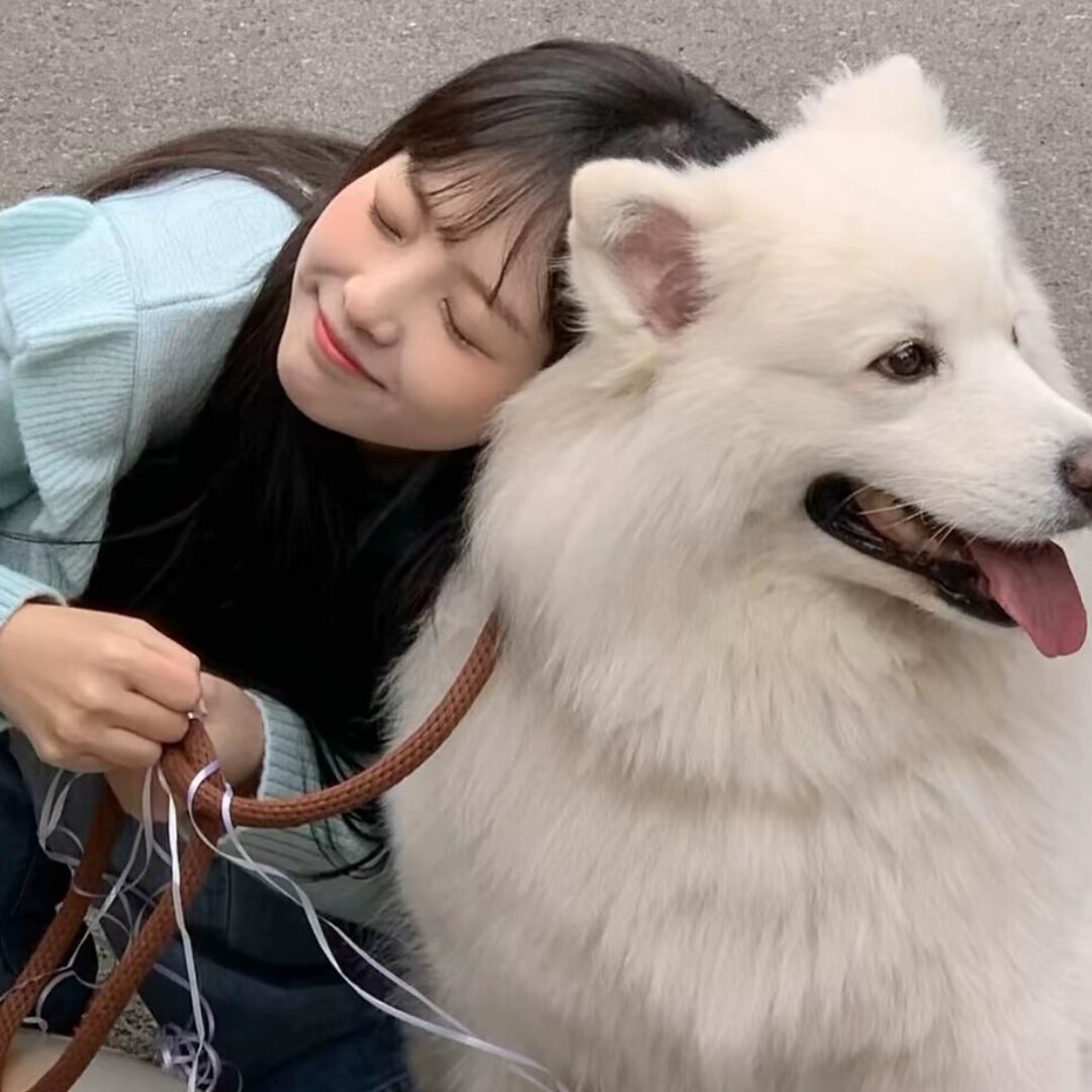 不吃香菜a