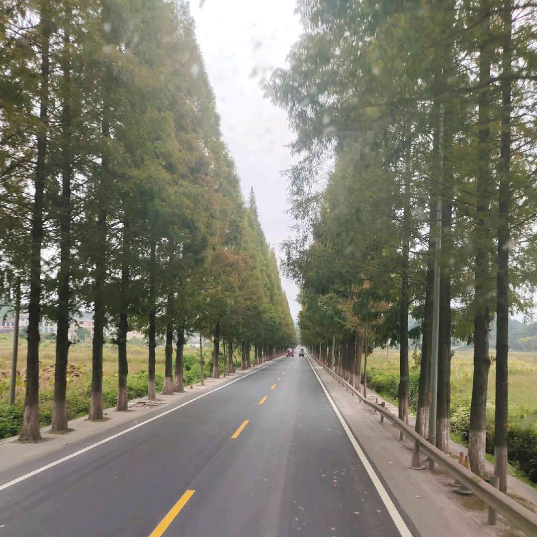 被卡车耽误的大学生/