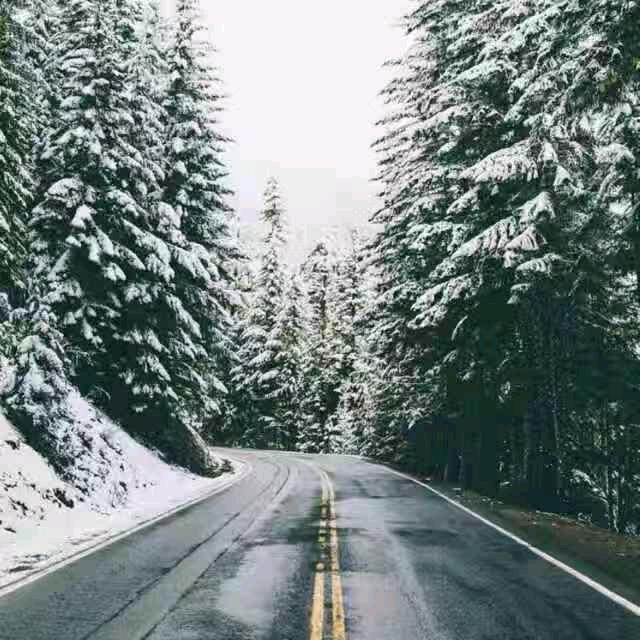 春天旳美景（金龙）