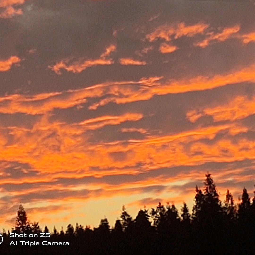 珍惜你身边的人