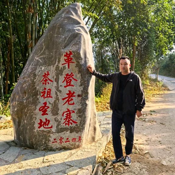 牛滚塘古树普洱(御品茗茶)