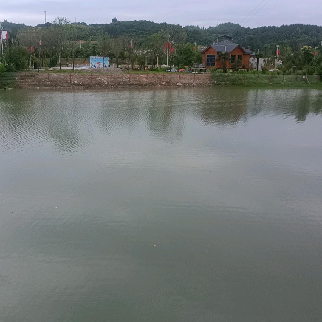 已重置