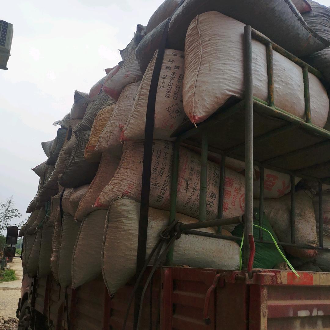 *十七*收花生果