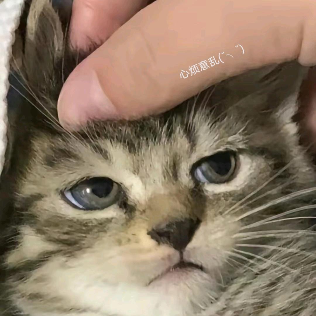M POWER小王™