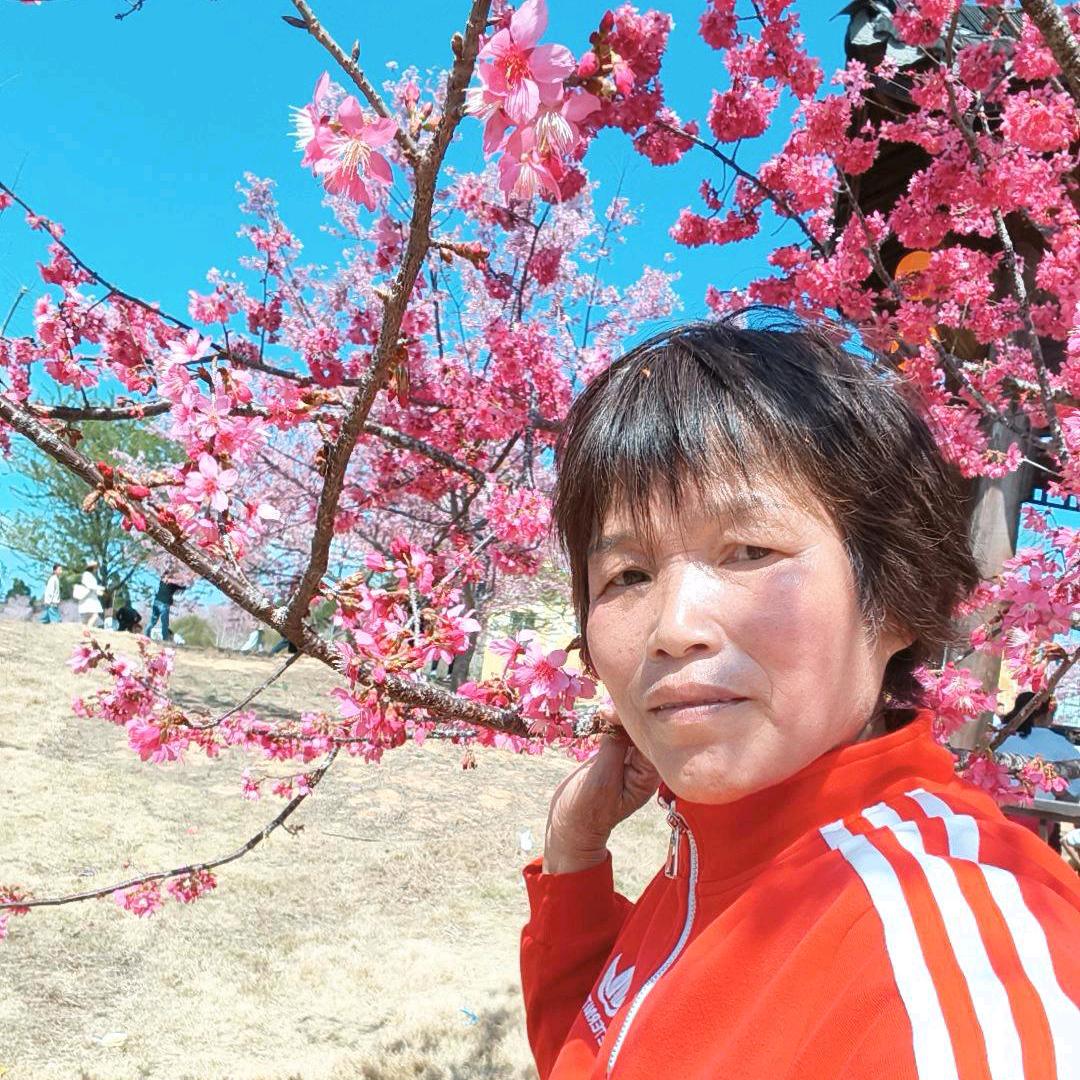 妹子
