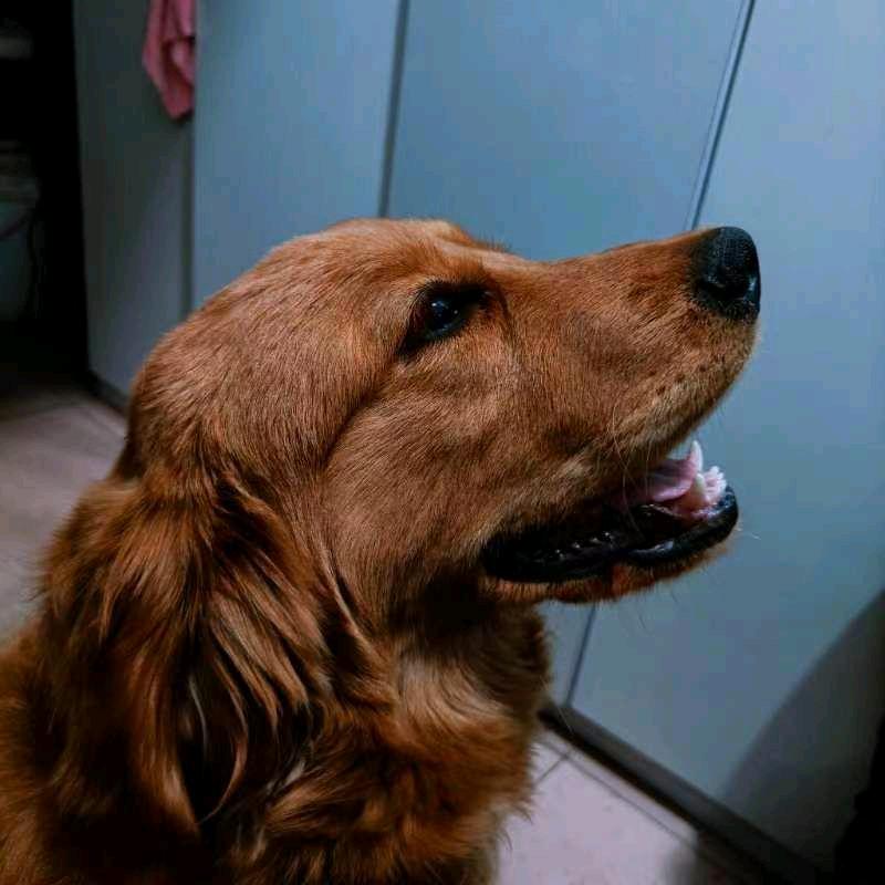 沽源澳柯玛电动车