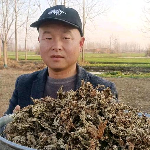 聚发源艾业(帽子哥)