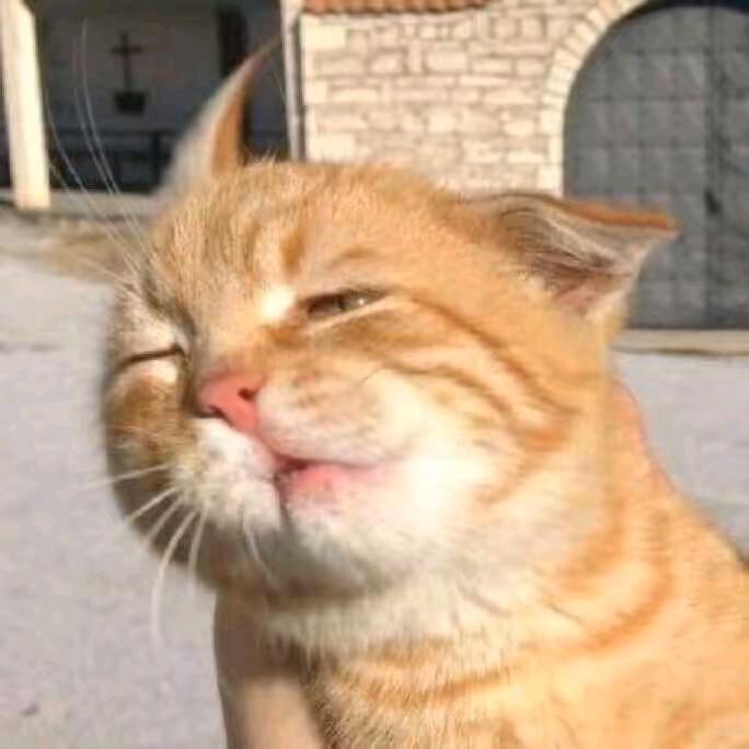 执念ㅤ