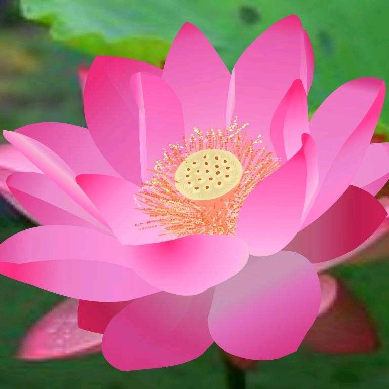 ༄ᐝ人生💖⃟如初见໊ഒᩚ࿐