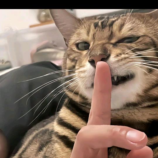阡陌行