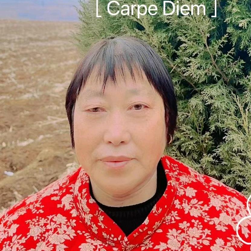 梅姐