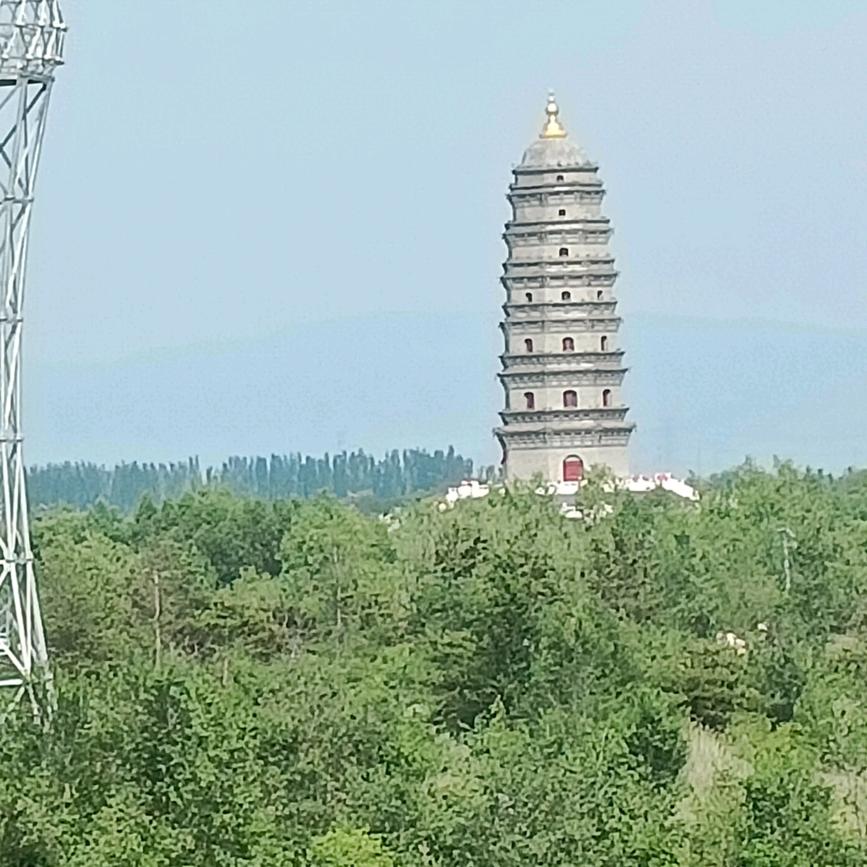 ⭐善良的小星星⭐