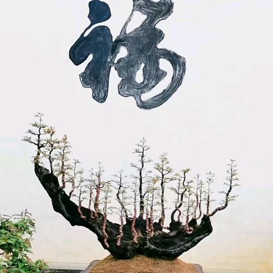 义霞艺景园