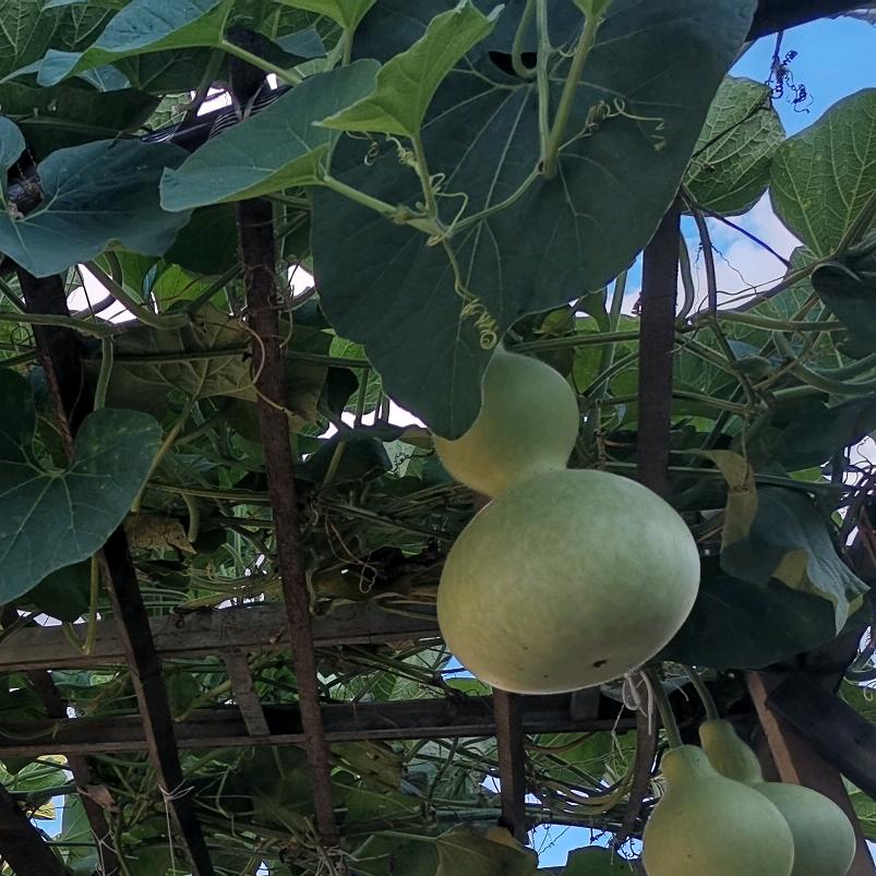 有健康才有未来