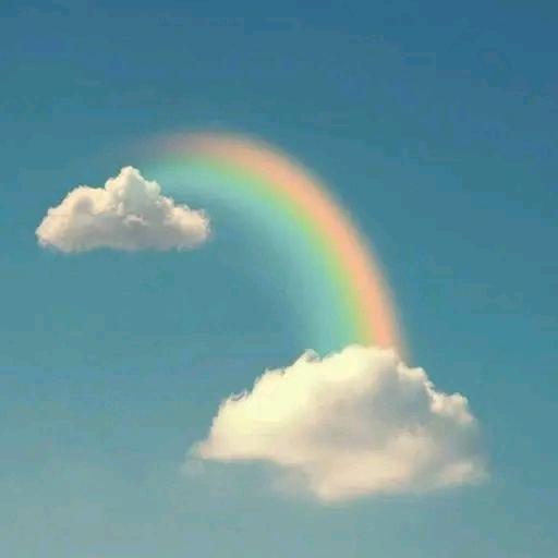 承酉青少年特训