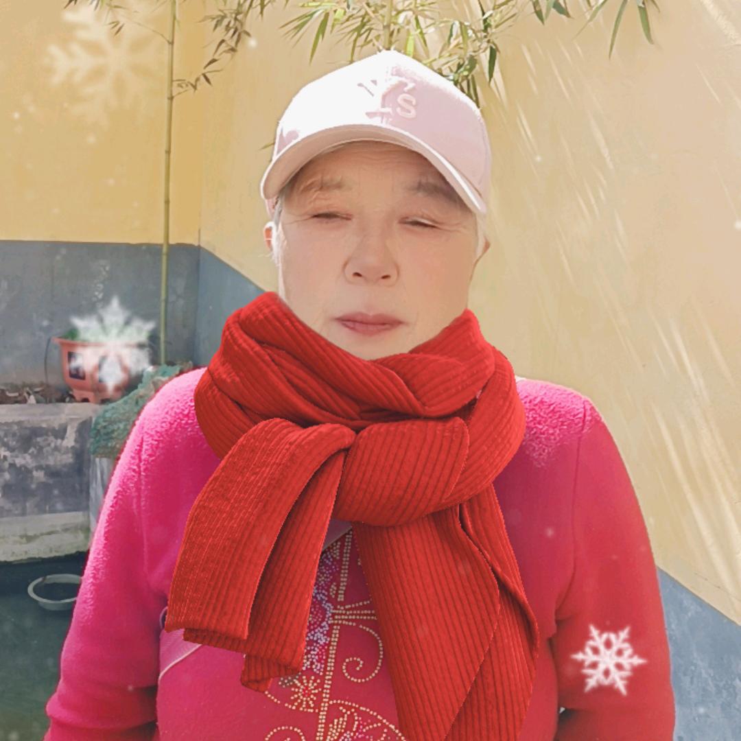 杨栓京