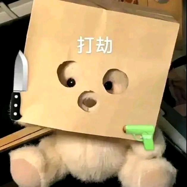 电驴没有头盔
