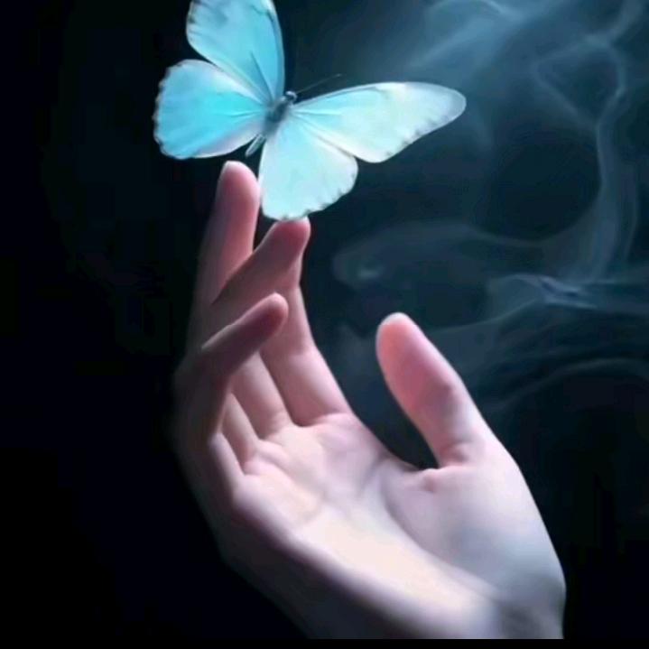 🦎心若🦂荒岛🦖🐌