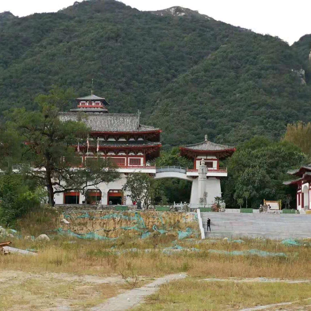 找回野狼🐺的生活