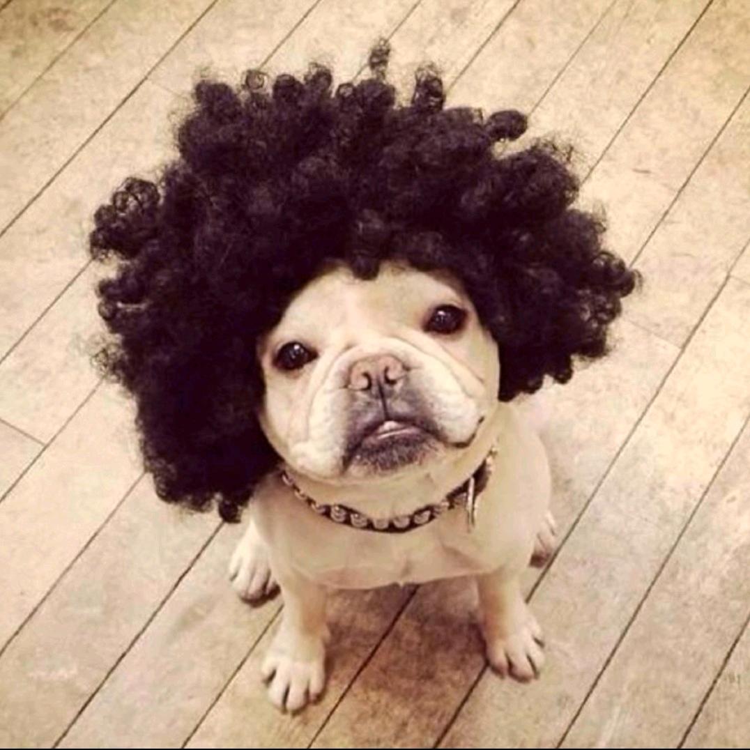 胖儿和小野@抖音