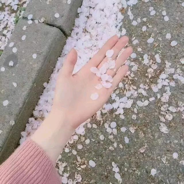 听听音乐吧