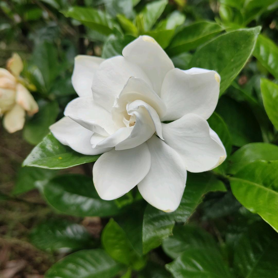 风雨同舟李