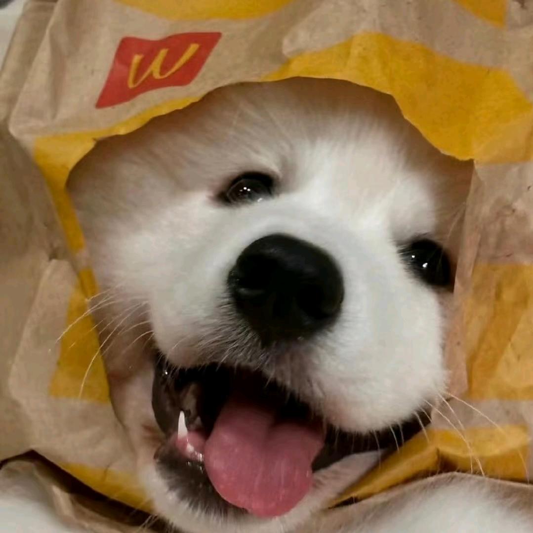 虾仁不眨眼🍤