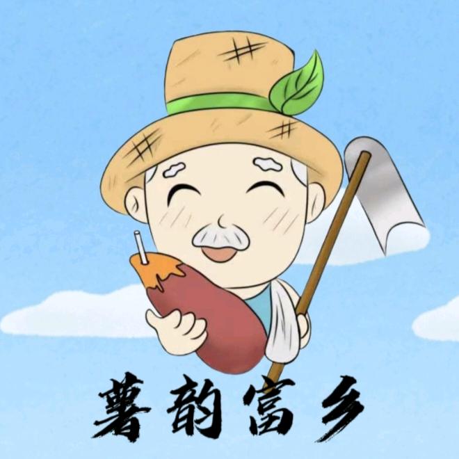 薯韵富乡三下乡社会实践团