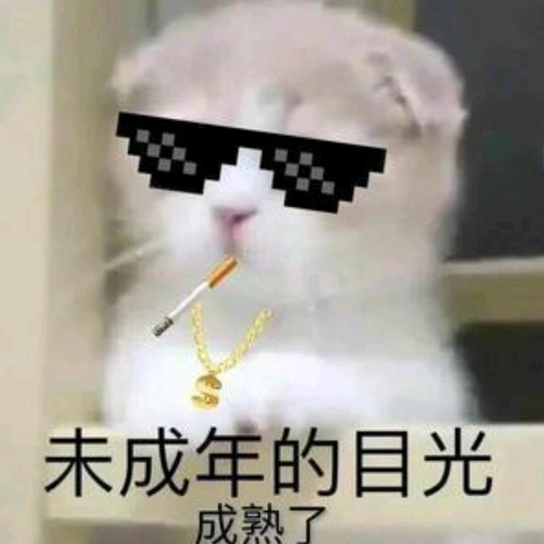 品小说观人生
