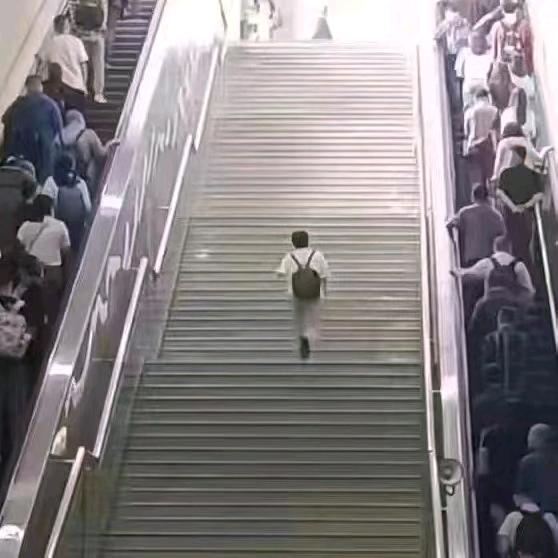 强哥上岸了！