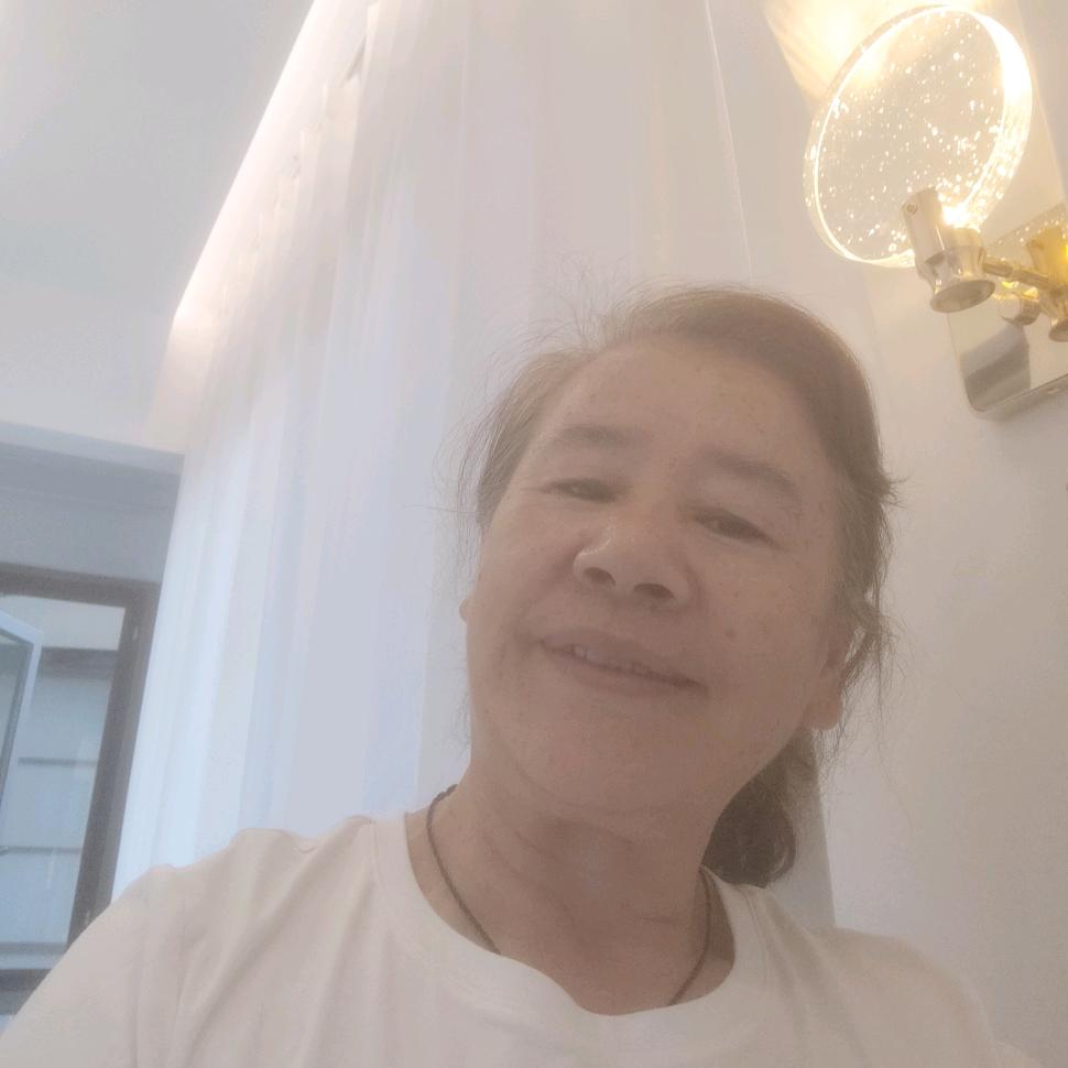 袁来招金