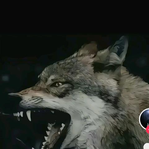 狂