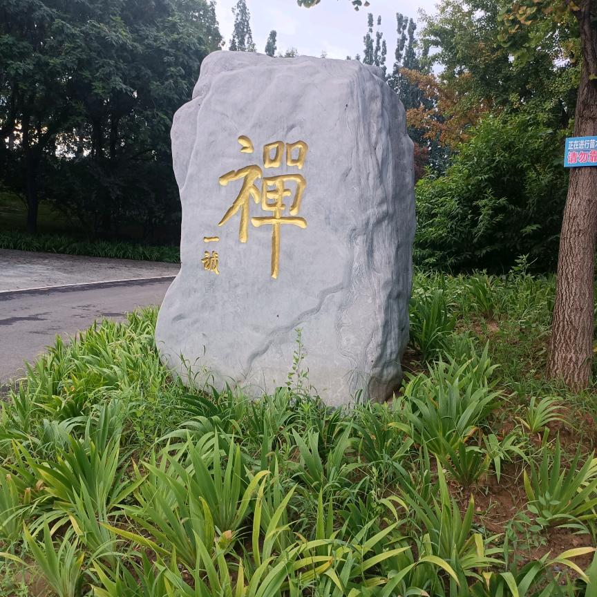 佛渡有缘人，王平