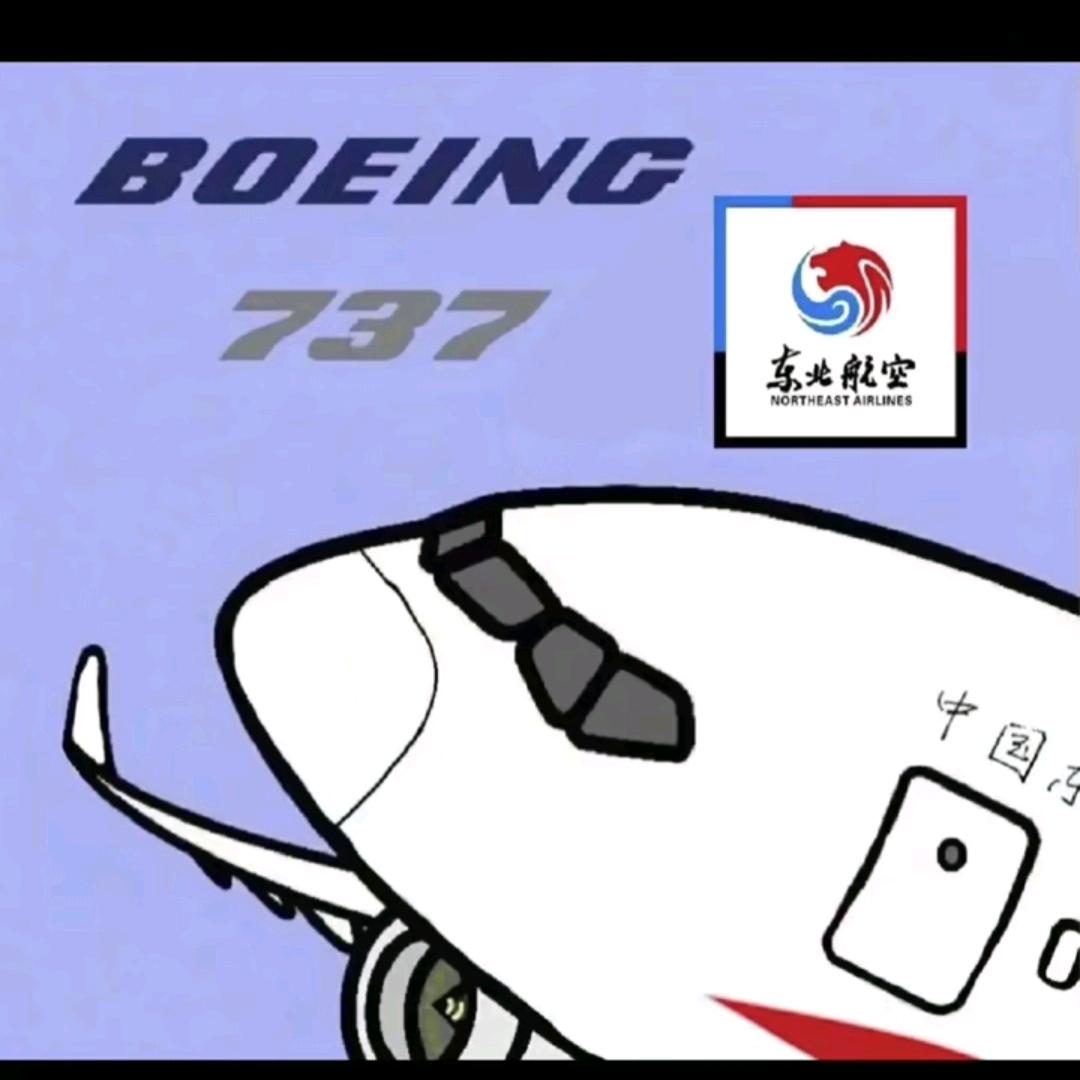 一架失控的737