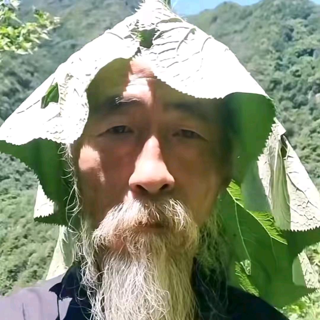 动漫