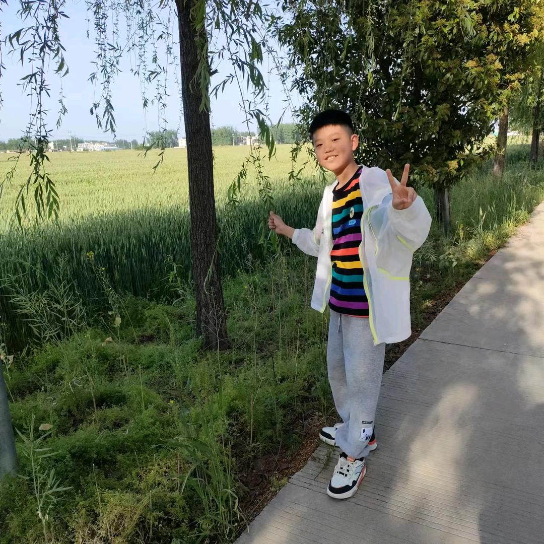 奥扬吊装