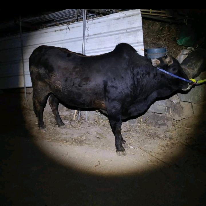 心灵感悟世界用人生浪迹天涯