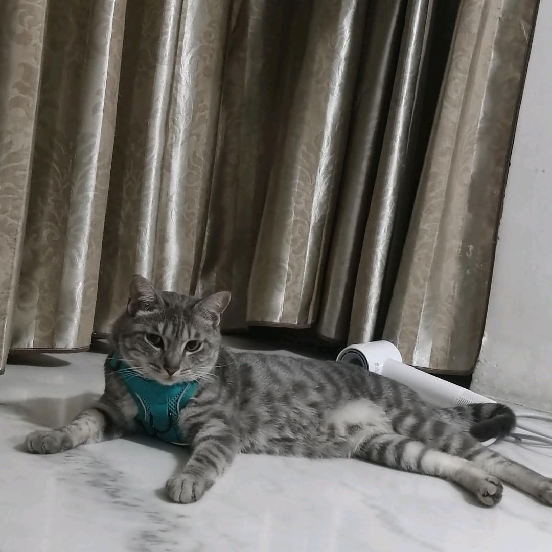 海椒公主👸🏻