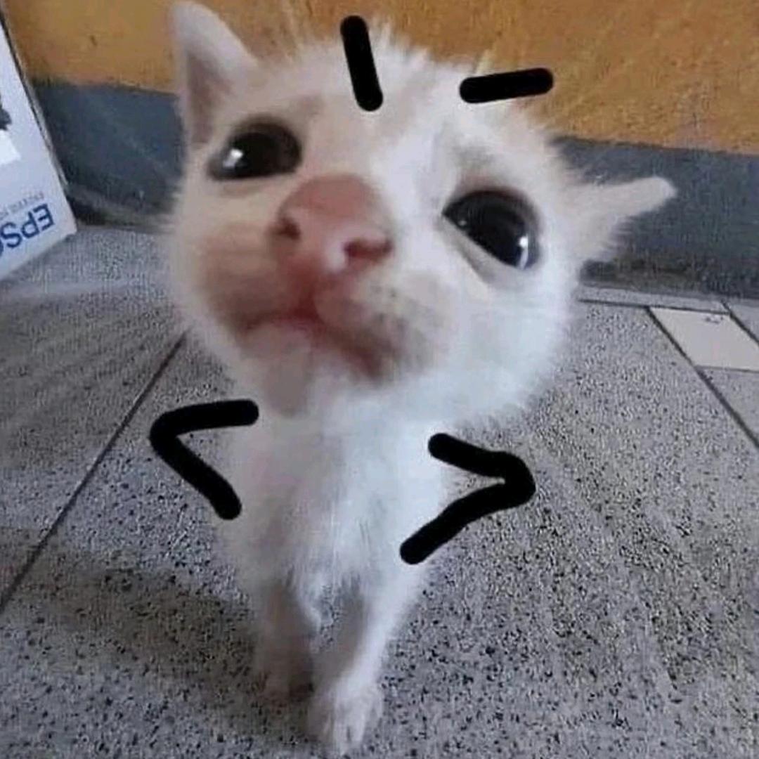 一只喵