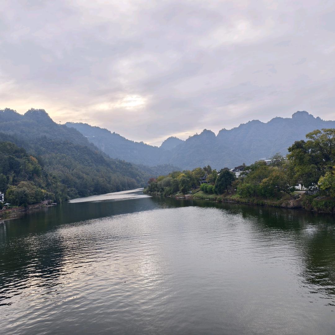 橙子🍊（负债）