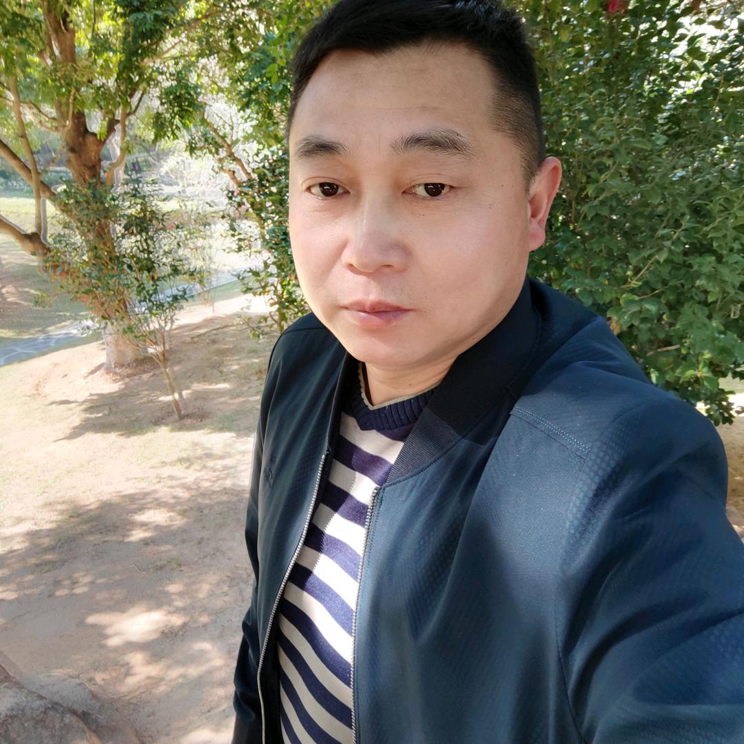 楠飞