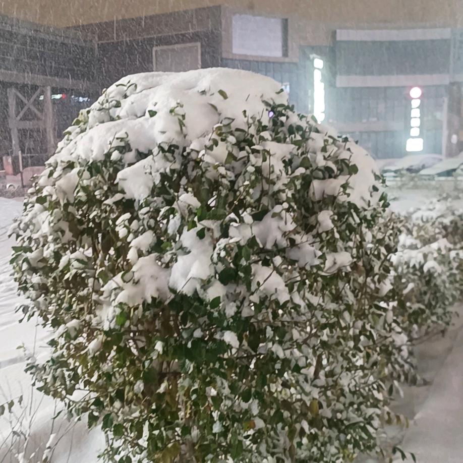 一个爱设计爱分享的佛系少女