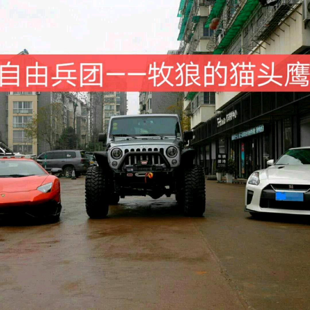 自由兵团——牧狼的猫头鹰