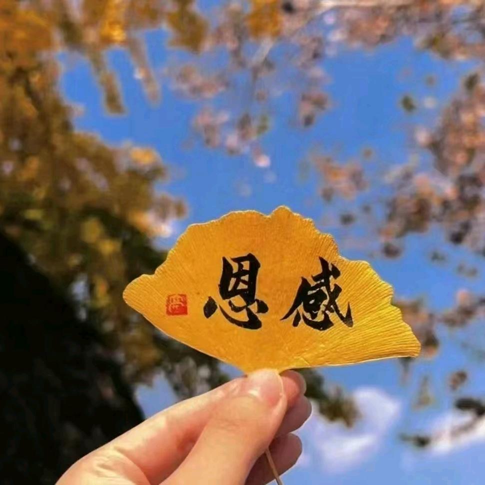 努力赚钱的牛马